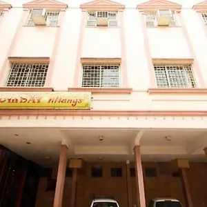 Bombay Tiffanys Mysore